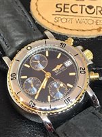 Orologio Sector No Limits Uomo Golden Eagle in Acciaio 2021961027 - 2021961027